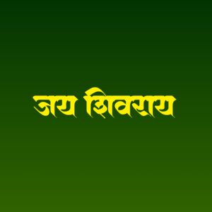 new font download